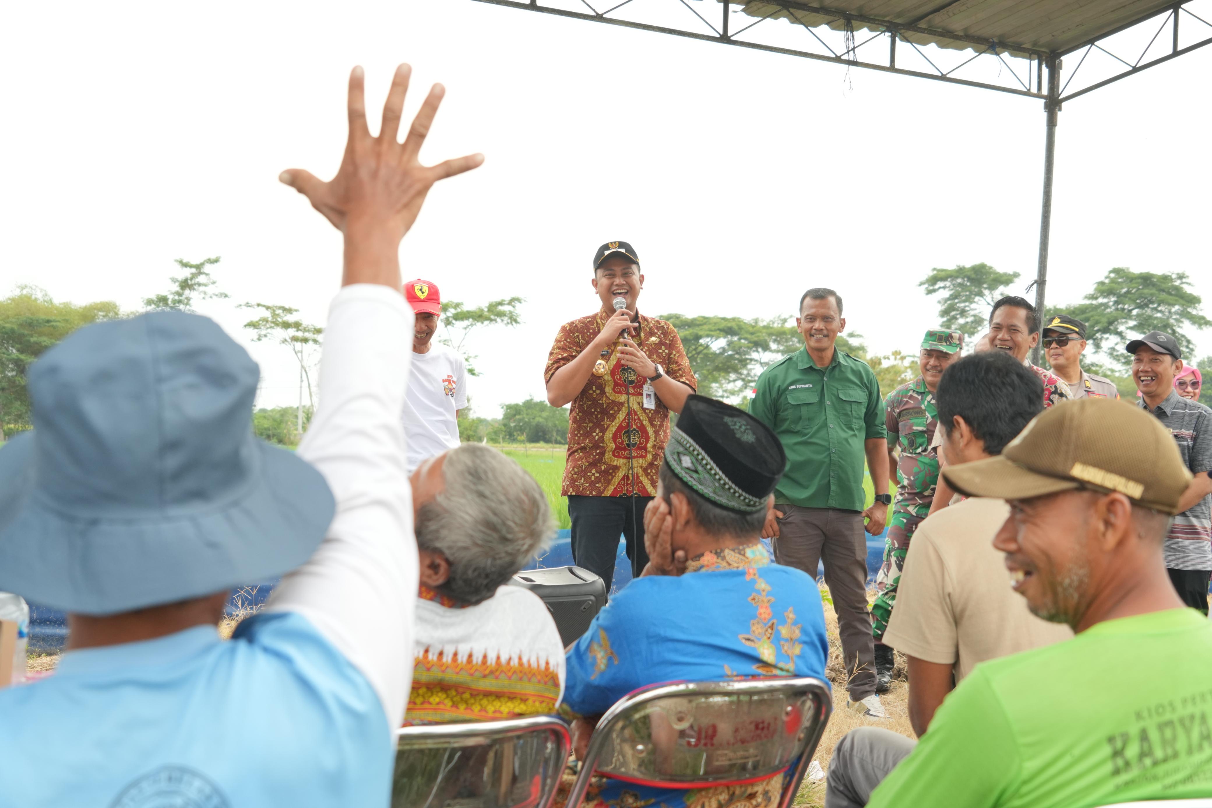 Trap Barrier System: Solusi Efektif Mengendalikan Hama Mencit di Klaten