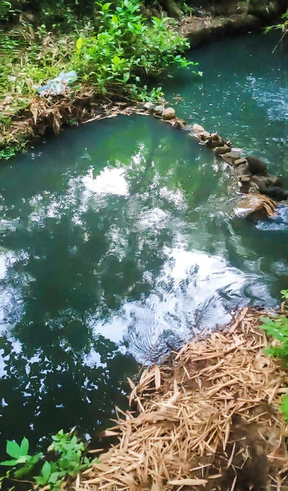 Main Kucing-Kucingan, Pabrik di Klaten Diduga Sengaja Buang Limbah Ke Sungai